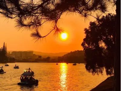 Thưởng thức ảnh phong cảnh Đà Lạt đẹp say đắm lòng người