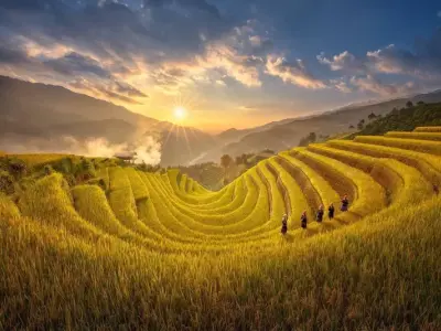 Hình ảnh Mù Cang Chải mùa vàng đẹp mê hoặc lòng người