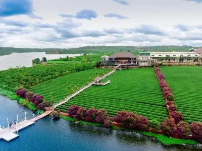 Ảnh phong cảnh Lâm Đồng đẹp giữa núi non trập trùng