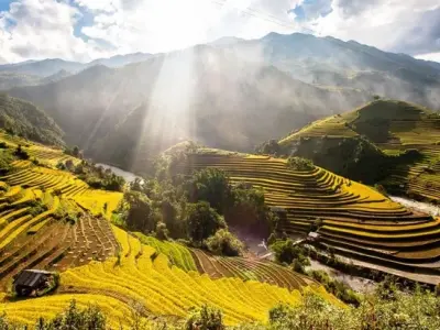 Tranh phong cảnh ruộng bậc thang mang cảm giác thư giãn