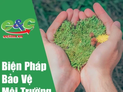 Biện pháp bảo vệ môi trường hiệu quả cho cuộc sống bền vững