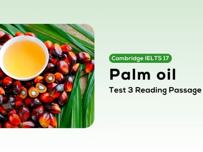 Dầu cọ palm oil: Từ sản xuất đến tác động môi trường và kinh tế