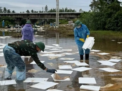 Dầu tràn oil spill: Nguyên nhân, tác động và giải pháp ứng phó