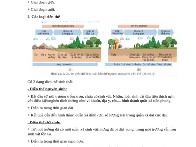 Diễn thế sinh thái là gì? Nguyên nhân, đặc điểm và ví dụ minh họa