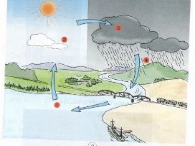 Giải mã vòng tuần hoàn của nước và những hình ảnh minh họa sinh động