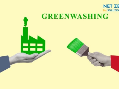 Greenwashing là gì phân biệt với doanh nghiệp xanh thực thụ