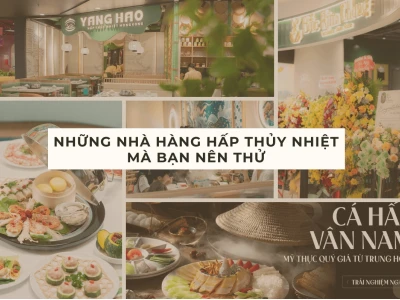 Hấp Thủy Nhiệt Bí Ẩn: Khám Phá Hương Vị Độc Đáo và Những Điểm Hẹn Hấp Dẫn