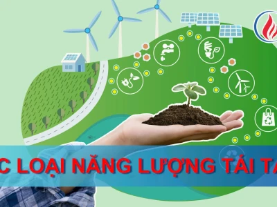 Khám phá các dạng năng lượng tái tạo và tiềm năng ứng dụng tại Việt Nam