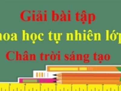 Khám phá đa dạng các nguồn năng lượng tái tạo và tiềm năng phát triển tại Việt Nam