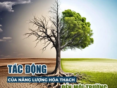 Năng Lượng Hóa Thạch: Nguồn Gốc, Tầm Quan Trọng và Tác Động Môi Trường