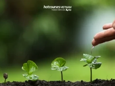 Ngành Bảo Vệ Thực Vật: Cơ Hội Nghề Nghiệp Rộng Mở Cho Tương Lai