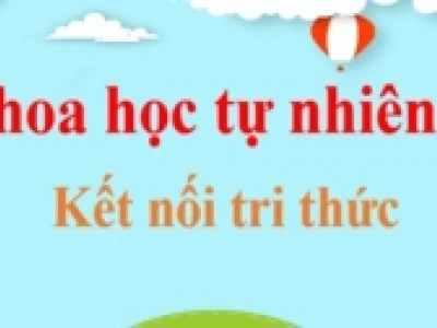 Sinh quyển Trái Đất: Khái niệm, thành phần và vai trò thiết yếu