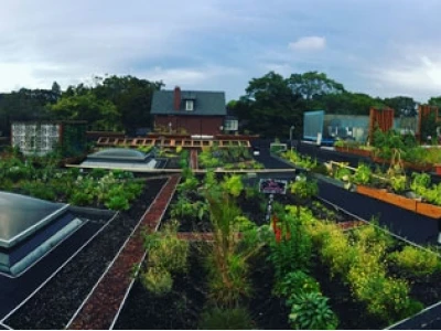 Tận dụng Mái nhà xanh (Green Roofs) để Tối ưu Hóa Môi trường Đô thị