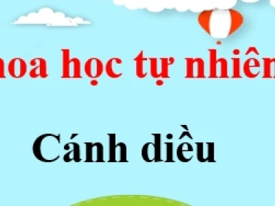 Tiết kiệm điện năng có lợi ích gì cho gia đình, xã hội và môi trường
