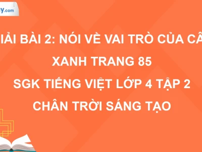 Vai trò của cây xanh: Lá phổi xanh cho cuộc sống con người và hành tinh
