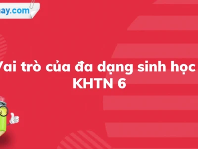 Vai trò của đa dạng sinh học: Nền tảng vững chắc cho sự sống trên Trái Đất