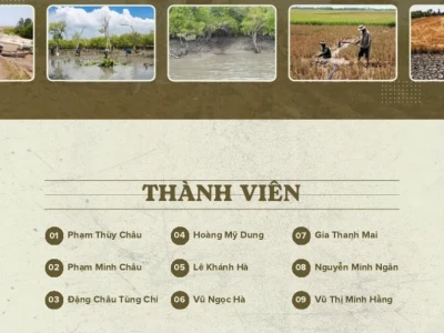 Xâm Nhập Mặn: Hiểu Rõ Nguyên Nhân và Đối Phó Hiệu Quả Tại Đồng Bằng Sông Cửu Long