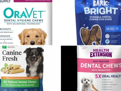 Optimizing Oral Hygiene with Long-Lasting Dog Chews for Dental Health in 2026