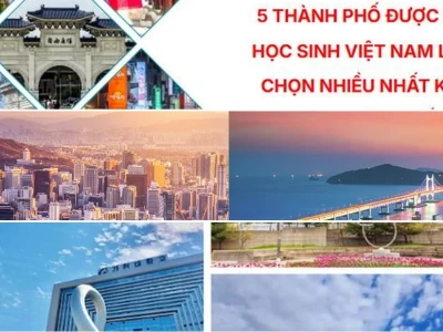 Kinh nghiệm lựa chọn thành phố du học Hàn Quốc cho sinh viên Việt Nam
